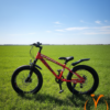 Swing Super Fatbike – 20″ (Ages 7–11)