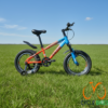 Swing Super Fatbike – 24″ Kids Bike (Blue)