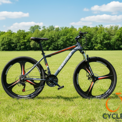 Premier Enduro Spokeless 26” Mountain Bike 18 Speed