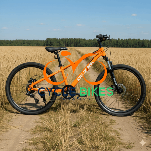 CRUZTREK KLEVER PRO 29"