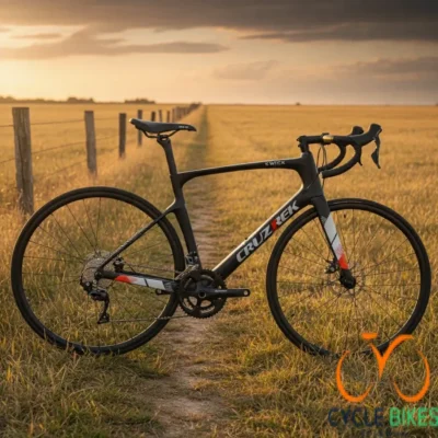🚴 Cruztrek Kwick Carbon 700C