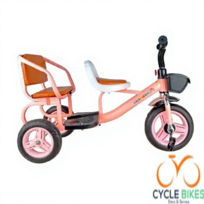 Tricycle for Kids Age 1–4 with Back Carriage – Various Colors Available | Quality Tricycles