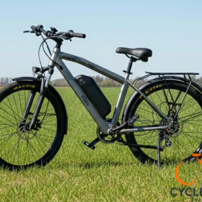 eBX Sting Electric Bike