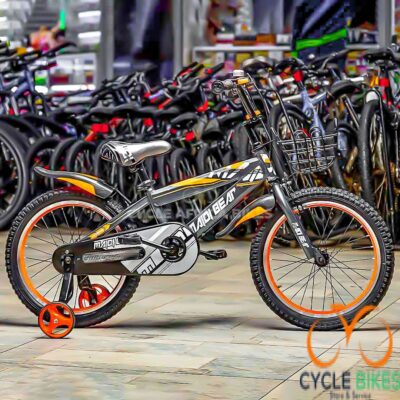 Great Frame Bicycle Maidi Size 18 Kids Bike