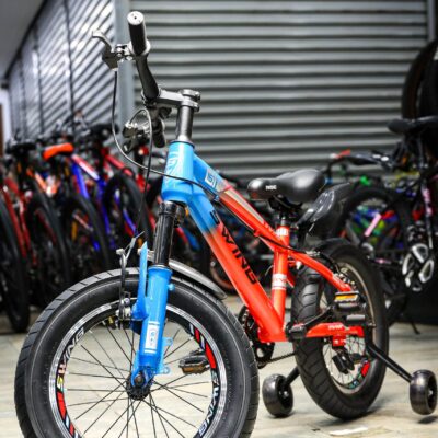 Swing Fatbike Size 16 GT