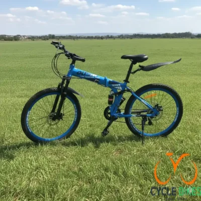 LH Size 26 Foldable Bike-GM