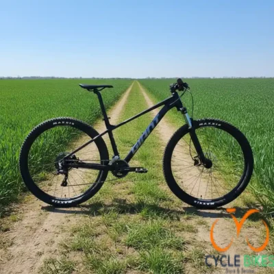 Giant Talon 29 3: Unleash Your Trail Riding Potential