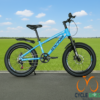 Swing Super Fatbike – 20″ (Ages 7–11) GT
