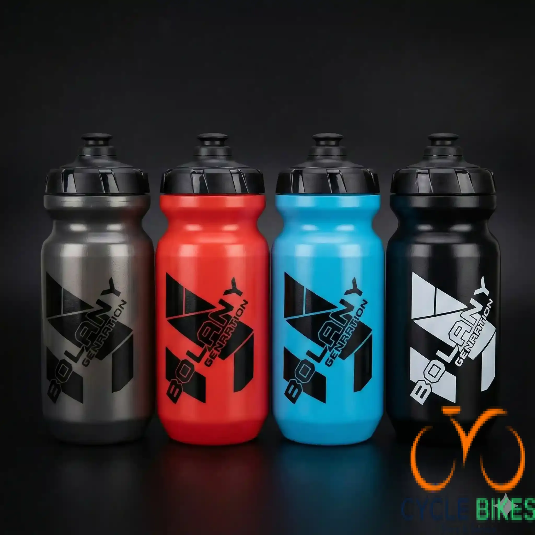 Bolany 550ml Water Bottle