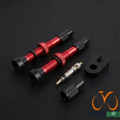 Tubeless Valve