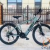 Limit Dragon Electric Bikes