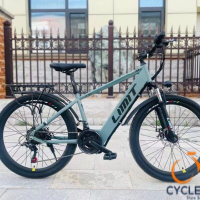 Limit Dragon Electric Bikes