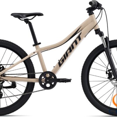 XTC Jr Disc 24 (2022)